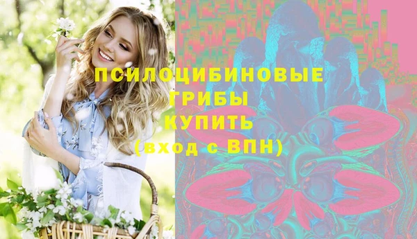гашиш Абаза