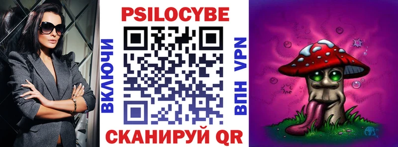 закладки  Владикавказ  Псилоцибиновые грибы Cubensis 