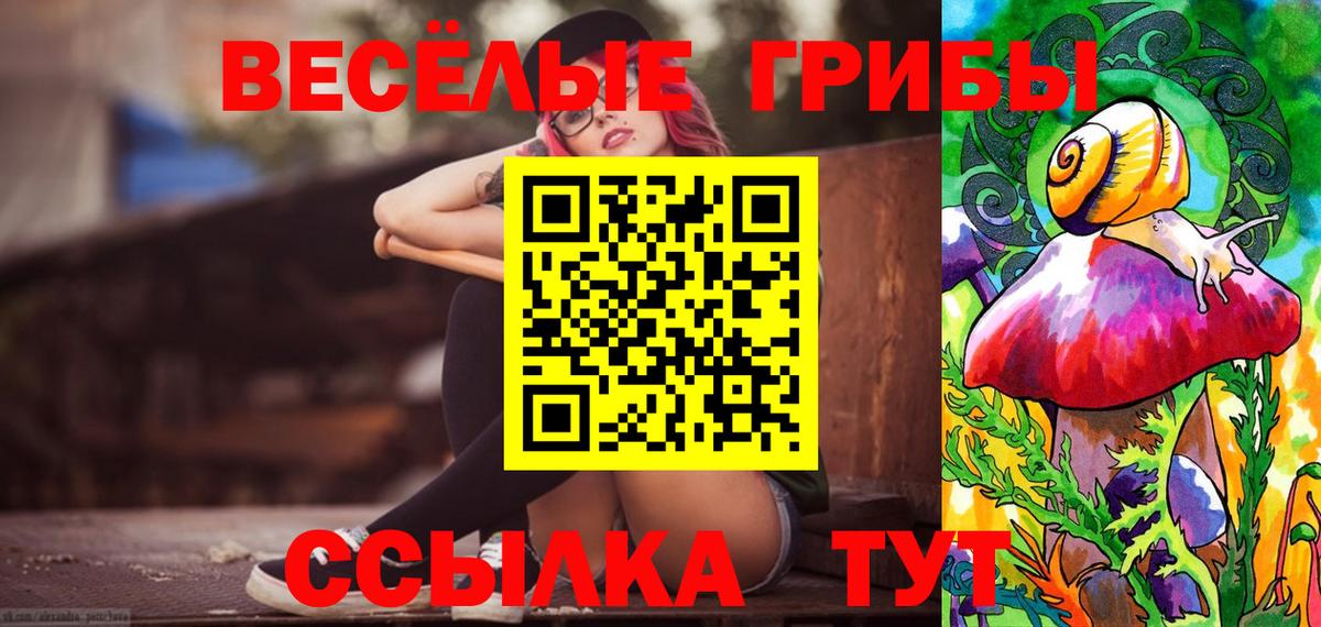 Галлюциногенные грибы Psilocybine cubensis Владикавказ