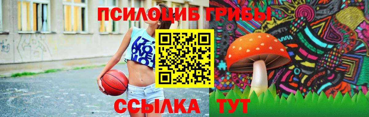 Псилоцибиновые грибы MAGIC MUSHROOMS  Вход с VPN  Псилоцибиновые грибы Psilocybine cubensis  Владикавказ 