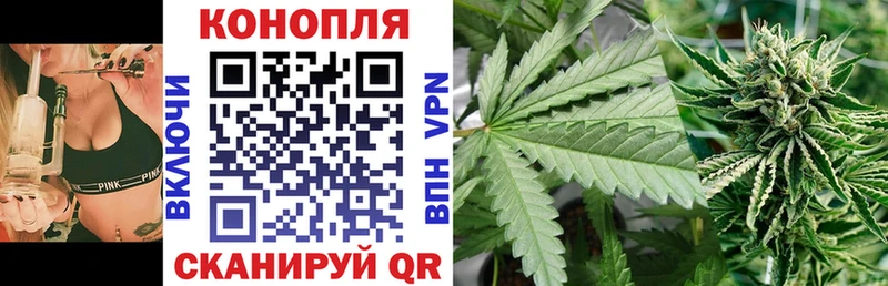 что такое наркотик  Владикавказ  Каннабис конопля 