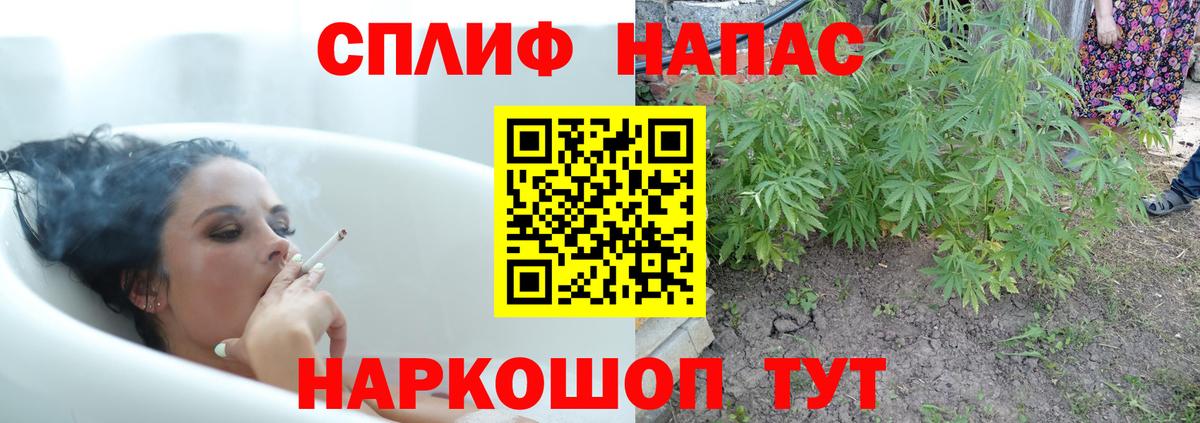 Владикавказ  Конопля планчик  Вход с VPN  Канабис Bruce Banner  Шишки марихуана ГИДРОПОН 